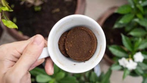 4 ways to use coffee grounds to naturally repel garden pests