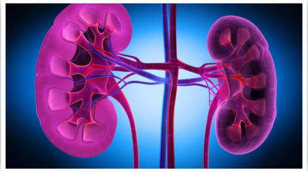 The impact of uric acid on kidney health