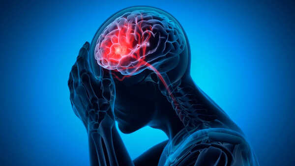 Brain's role in moral decision-making