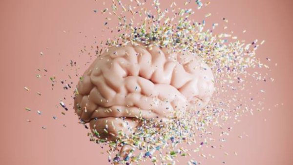 Brain injury and criminal behavior link