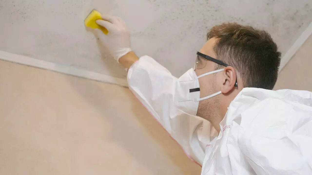 6 ways of removing black mould safely from your walls