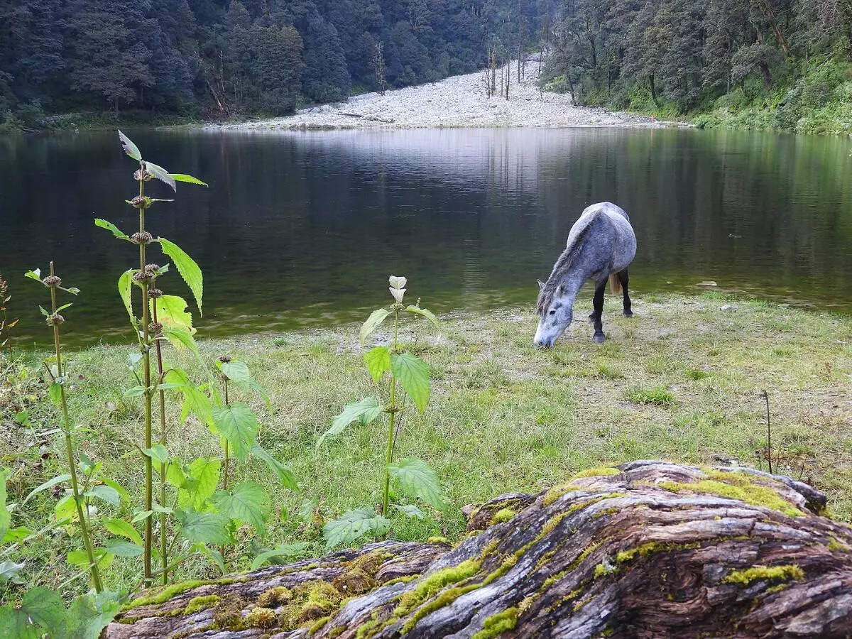 Dodital_Lake_Uttarakhand