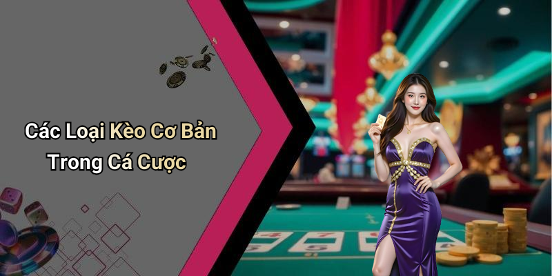Betting Odds: A Comprehensive Guide to Betting Odds at Vicclub