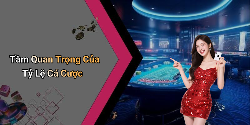 Tầm Quan Trọng Của Tỷ Lệ Cá Cược